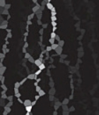 Figure 3: Typical micrograph of grain boundary hot spots