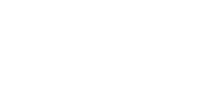 The 2019 NASA Award Winner logo
