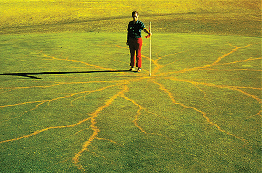 Figure 6: Extent of ionization from a lightning strike to the flag marking the hole