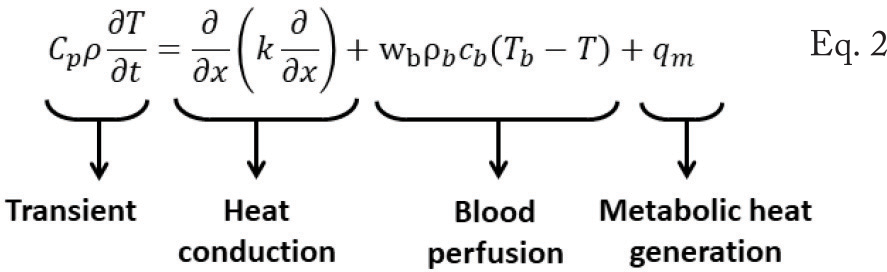 Eq. 2 Pennes bioheat equation [7]