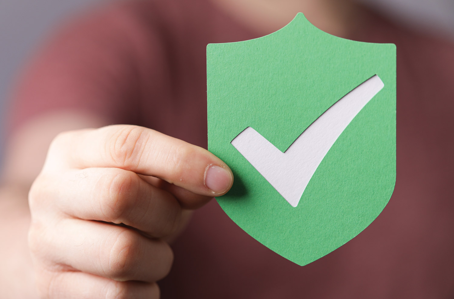 Hand holding up green shield with white checkmark paper icon.