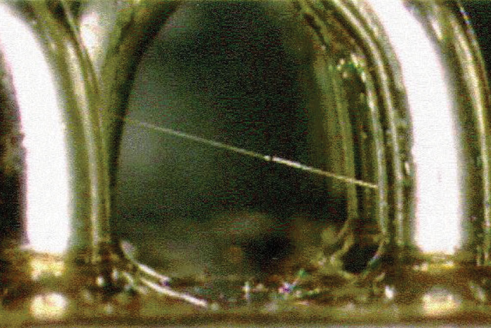 Tin whisker growing between pure Sn plated hook terminals of an electromagnetic relay